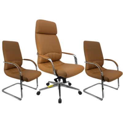 Ensemble Fauteuil WOHL Réf A0116